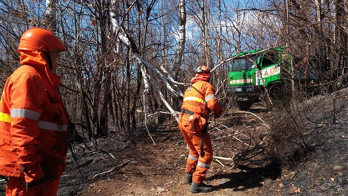 Revoca stato di massima pericolosità per gli incendi boschivi su tutto il territorio regionale del Piemonte a partire dal giorno 11 settembre 2026